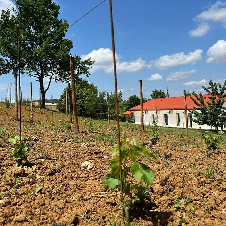 Chiara Piemonte * San Salvatore Monferrato