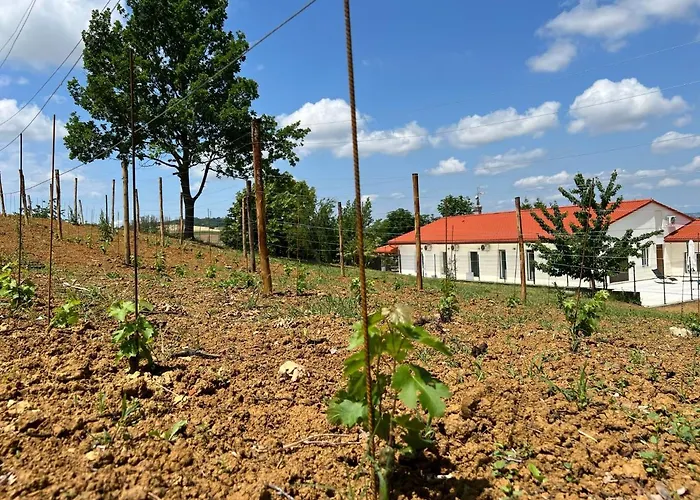 Chiara Piemonte * San Salvatore Monferrato
